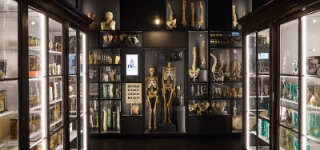 RSU Anatomijas muzejs